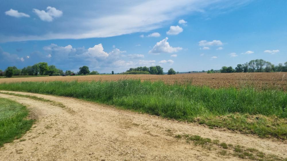Circuit VTT n°24 (rouge) - La St Martin_Montrevel-en-Bresse