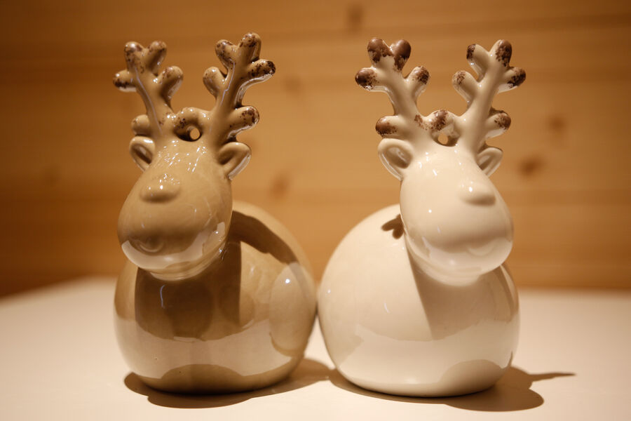 La Fontaine à l'Ours