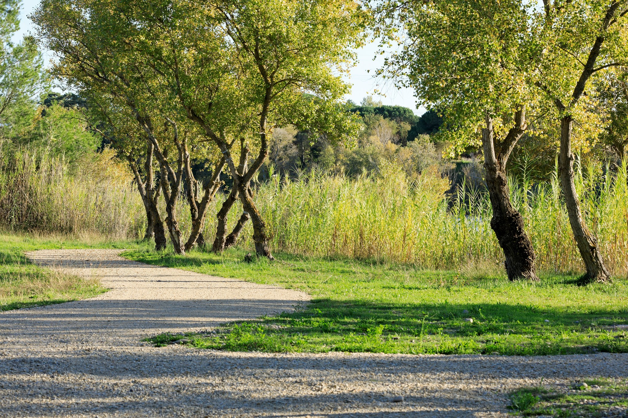 Voie Verte en bord de Durance, Pertuis - photo 5