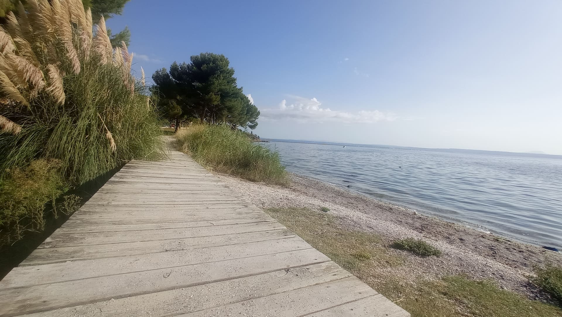 Parc de La Rode - photo 4