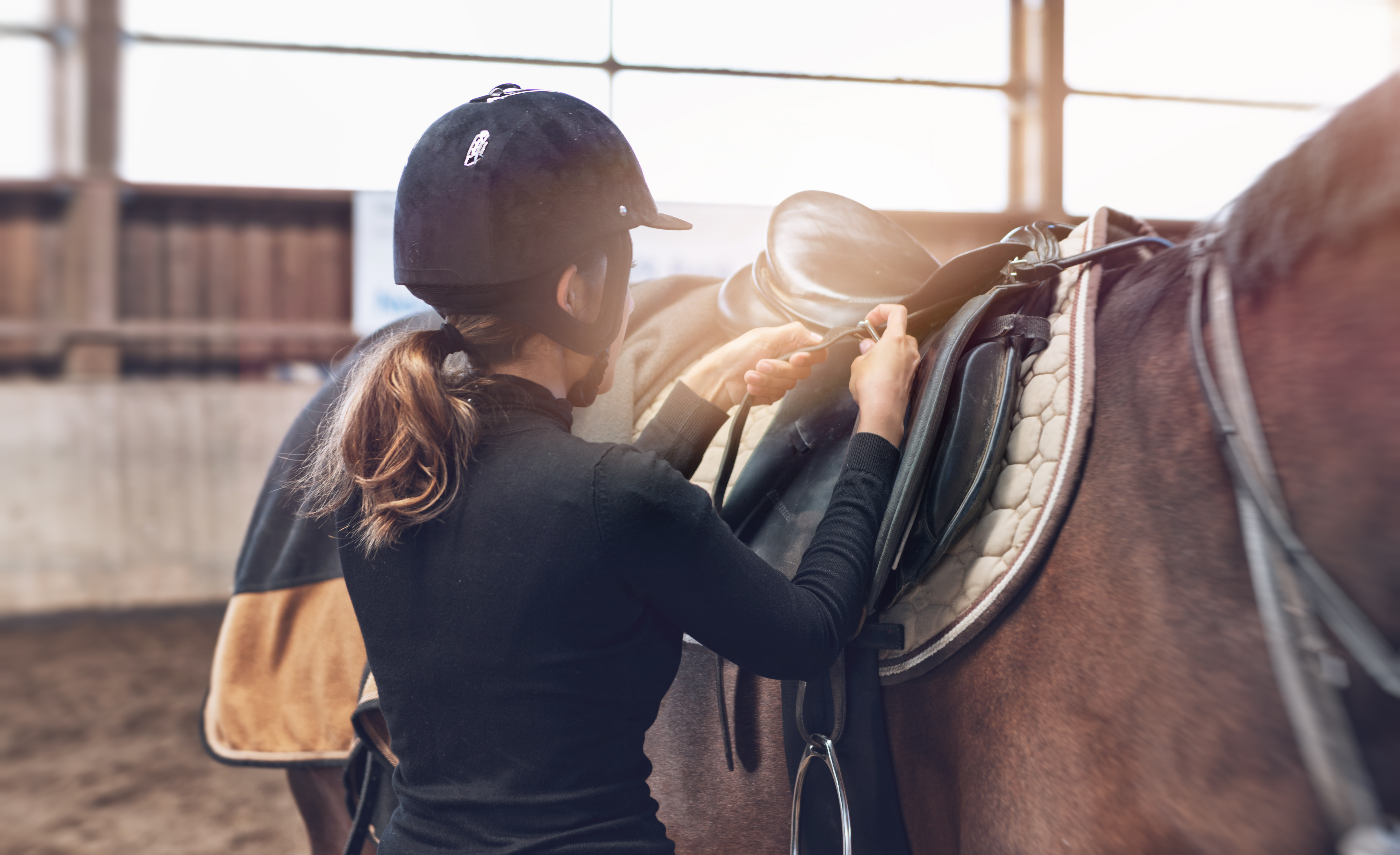 Ecurie du Marais - Hopps family stables_Le Val-Saint-Germain
