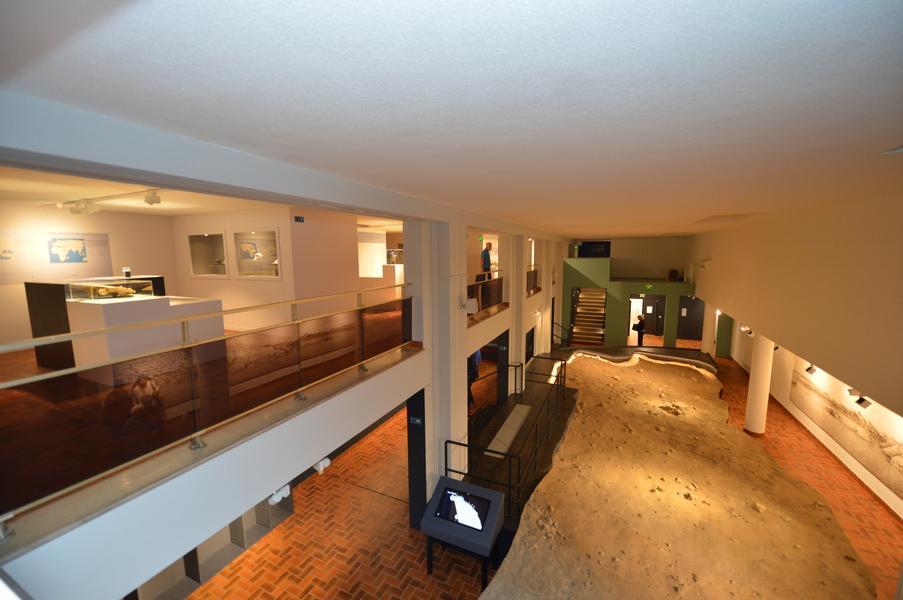 Musée de Préhistoire de Terra Amata
