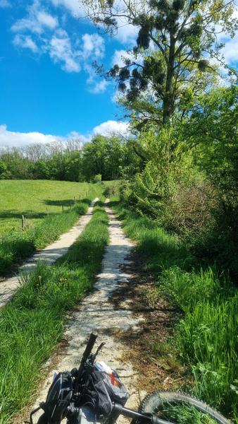 Circuit VTT-VTC n°25 (rouge) Comté de Montrevel - Domaine du Sougey