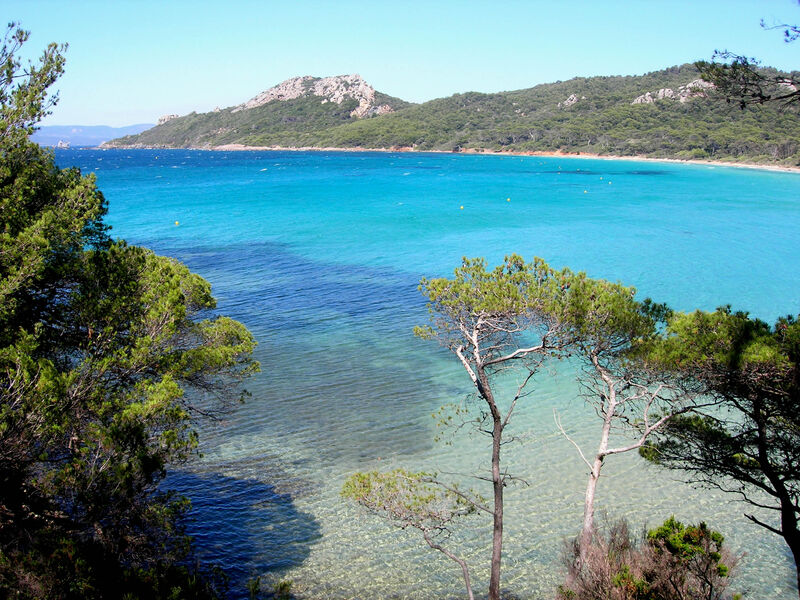 La plage Notre Dame - ile de porquerolles - hyeres