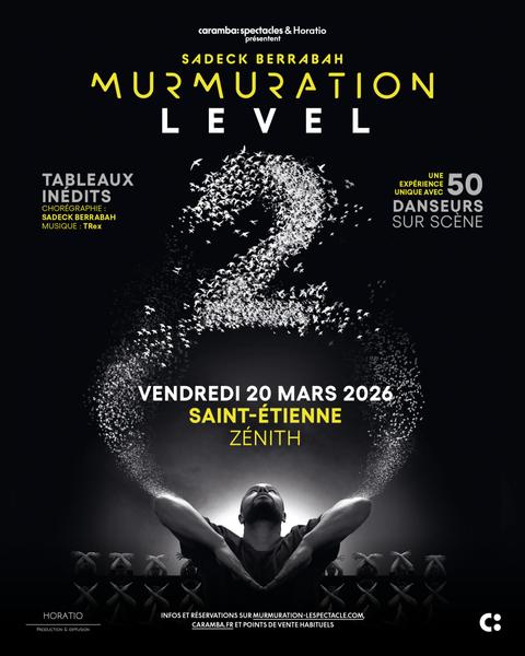 Murmuration level 2_Saint-Étienne