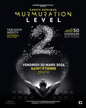 Murmuration level 2_Saint-Étienne