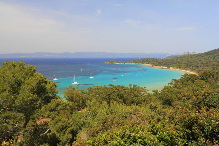 Plage de la Courtade - île de porquerolles - Hyères