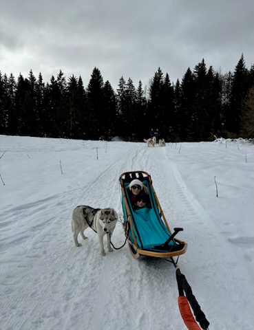 Bapt�me en tra�neau � chiens avec Symbiose chien polaire