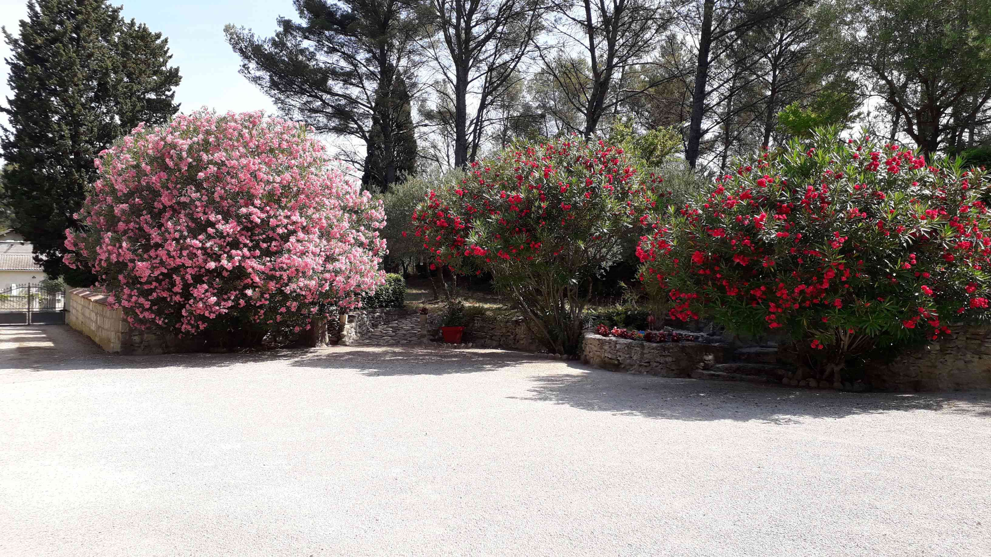 Le Clos de Lucie, Barbentane - photo 9