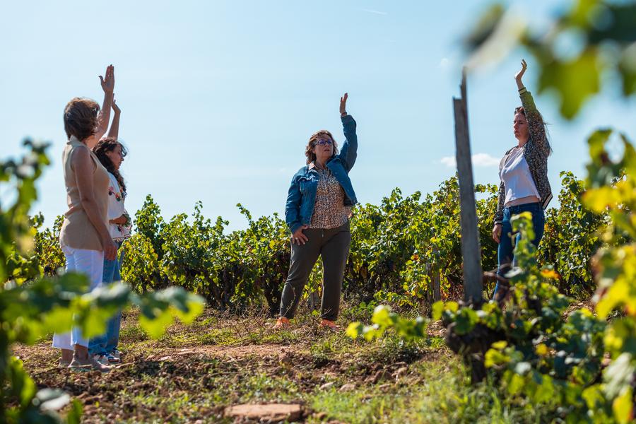 Balade dans le vignoble de Châteauneuf-du-Pape_Courthézon