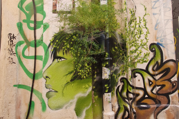 Balade buissonnière, la biodiversité en ville - photo 4