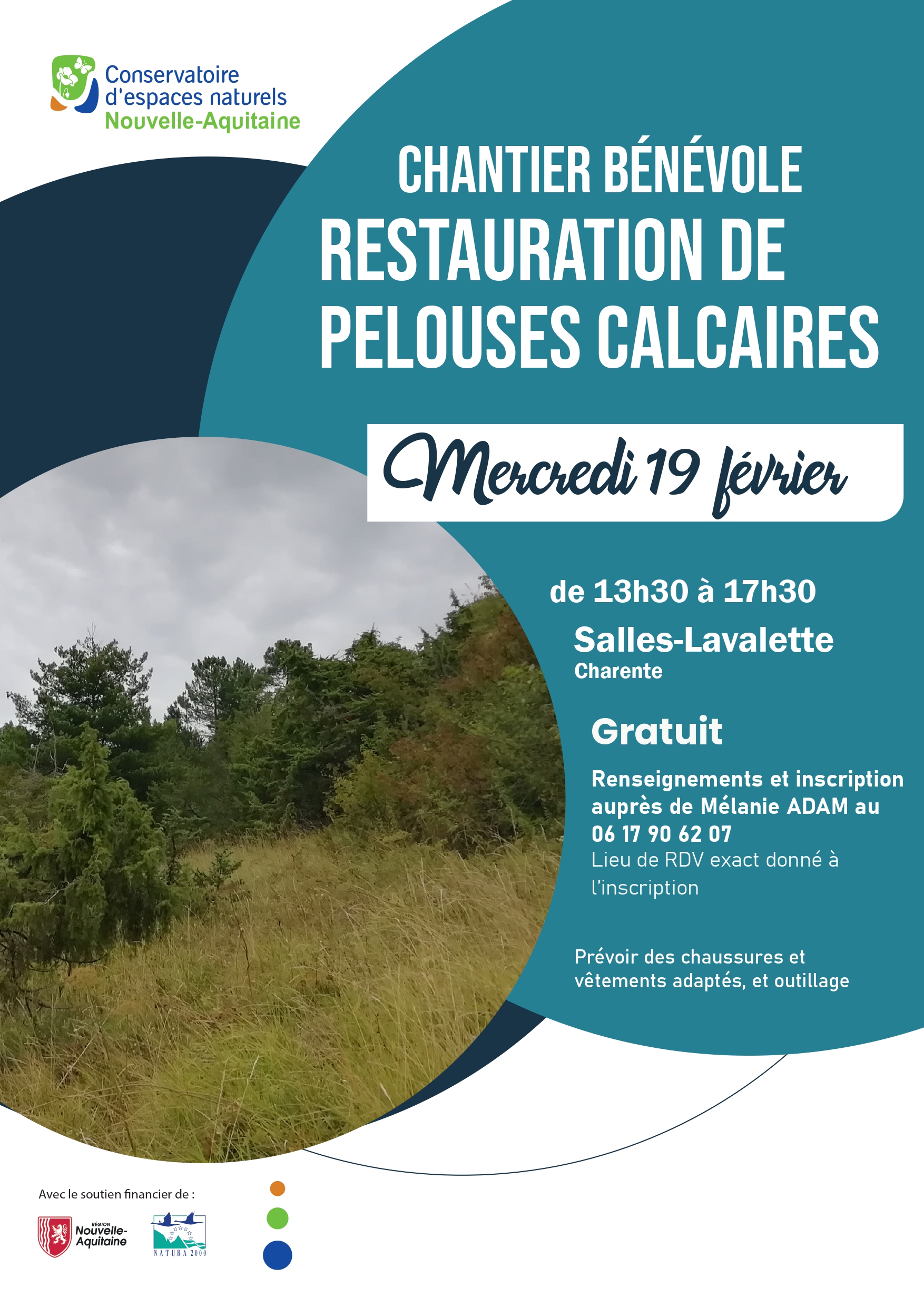 Chantier bénévole de restauration de pelouses calcaires