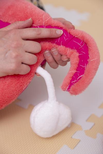 Atelier Premières règles