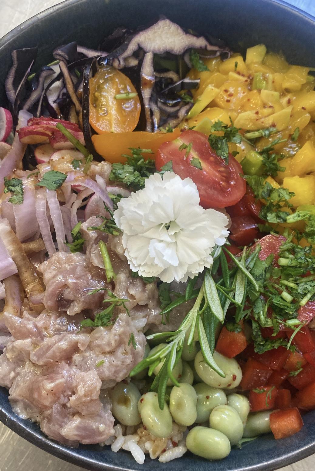 La Mule Blanche, Arles - photo 4