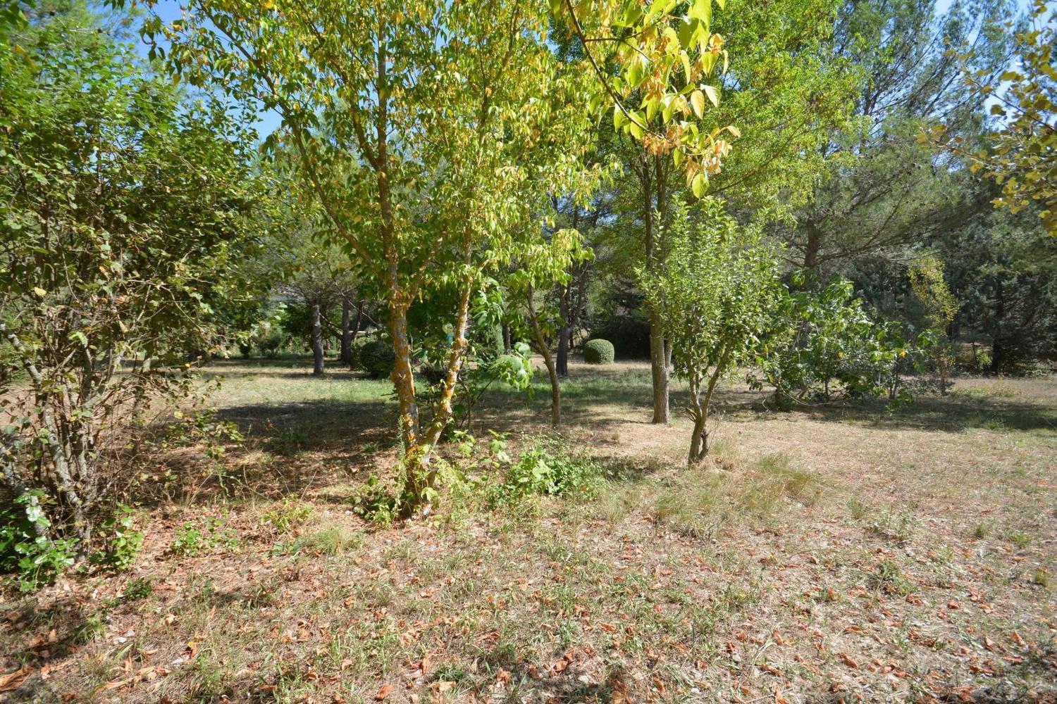 Hémérocalles, Vauvenargues - photo 21