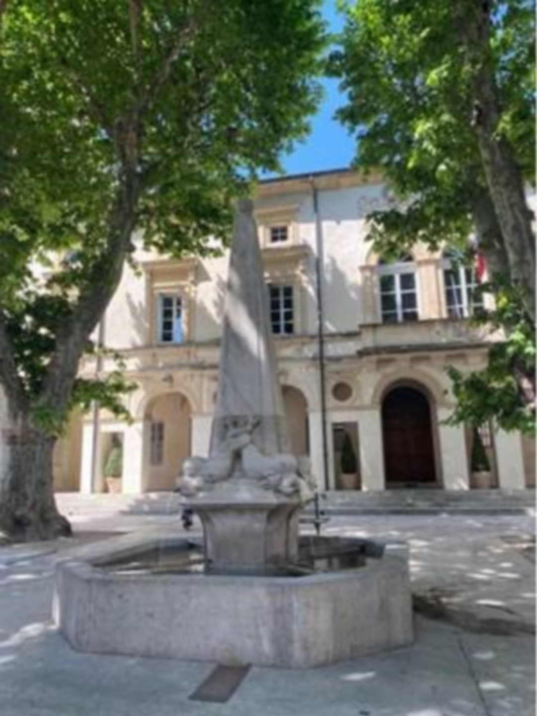 French Connection Provence, Saint-Rémy-de-Provence - photo 5