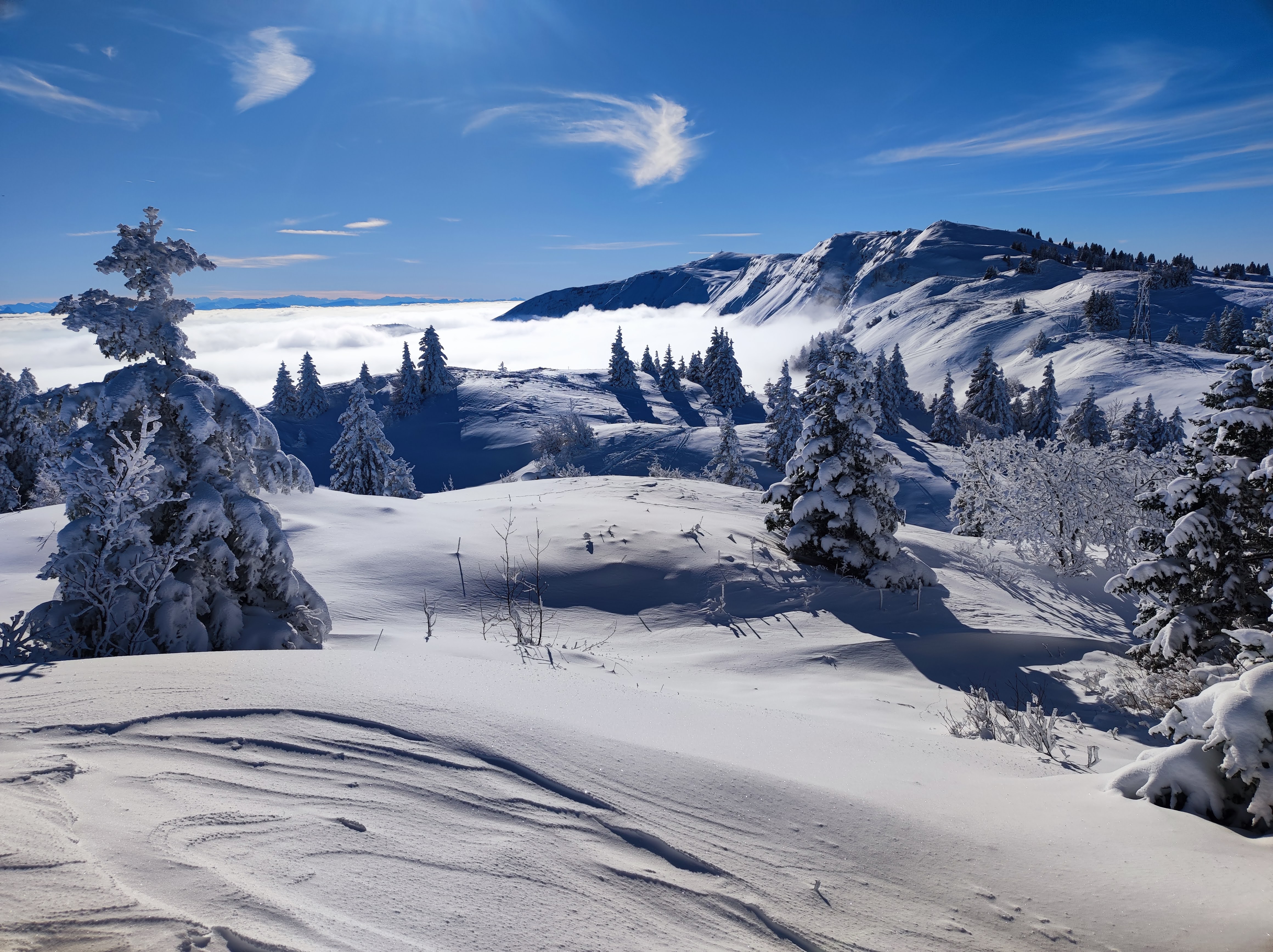 Au sommet du Petit Mont Rond