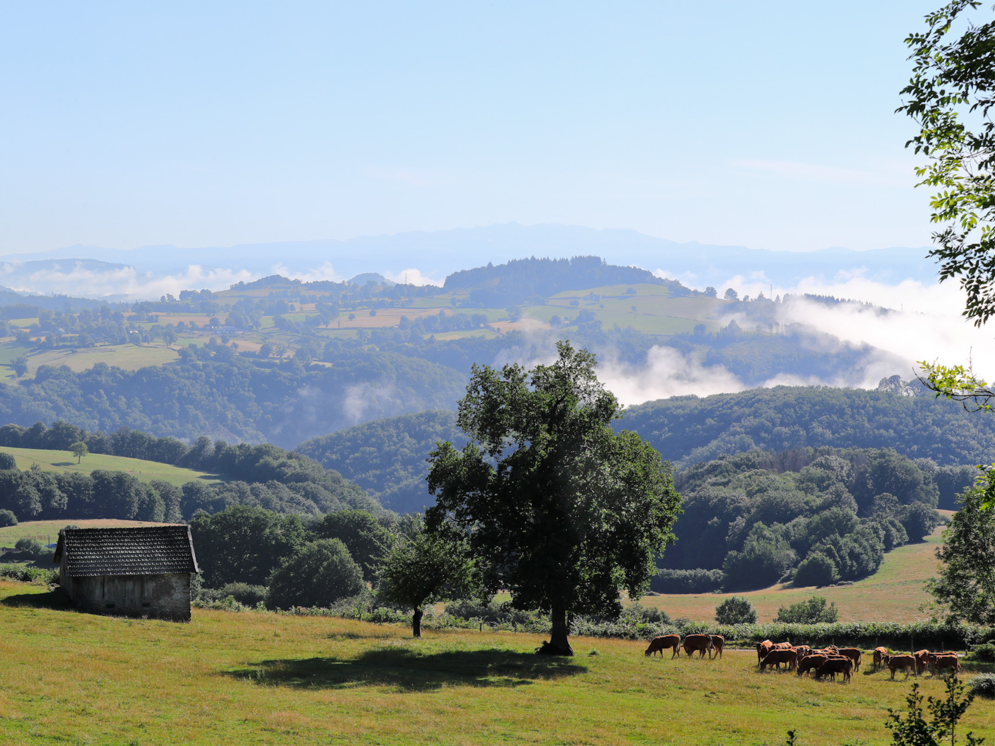 Vue sur le puy du Mas