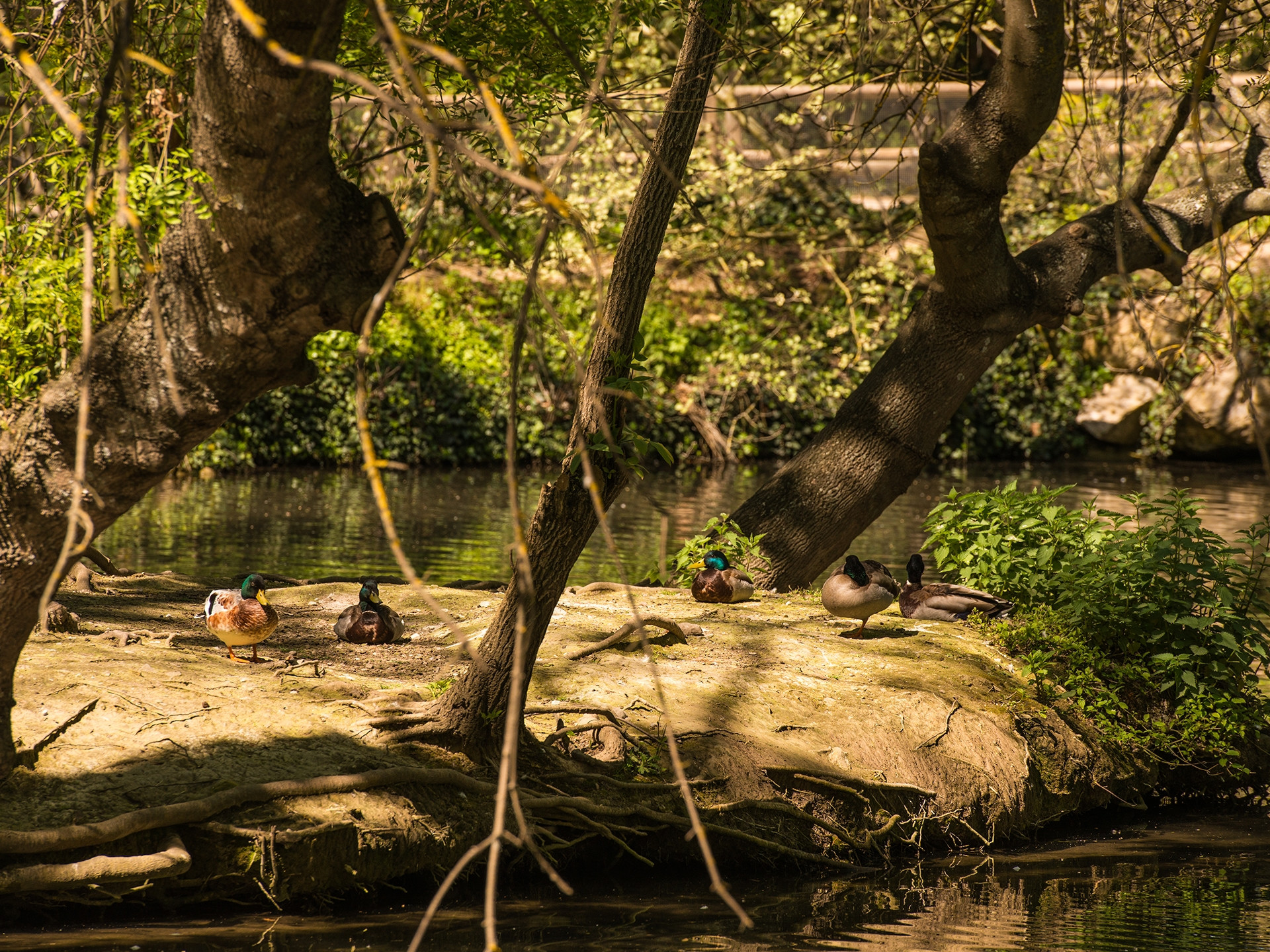 Promenade de la Torse, Aix-en-Provence - photo 8
