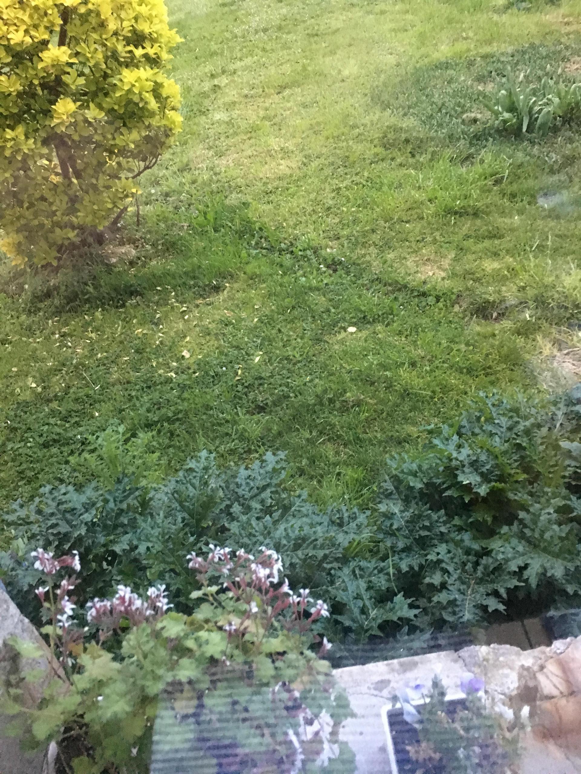 Gite chez Ravaud - 7 pers