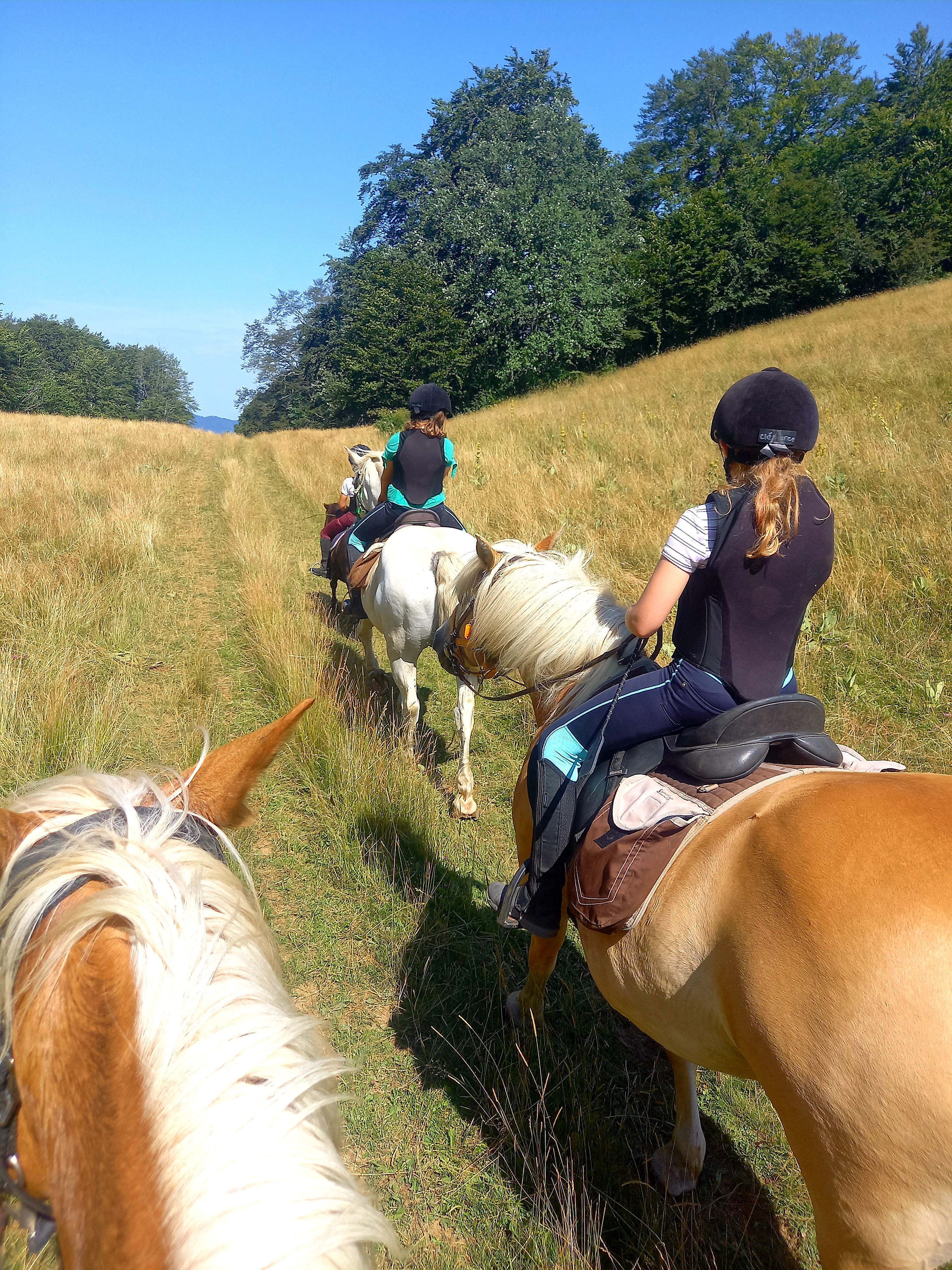 Horse Riding with Equus Pleine Nature