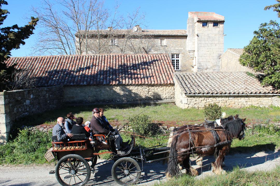 Poney Express Attelage - photo 3