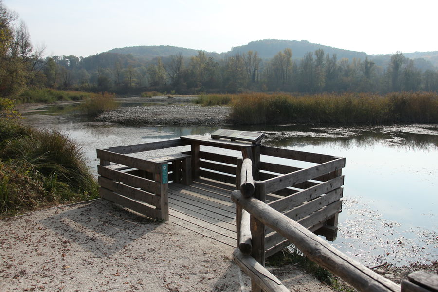 Ponton handipêche, marais de l'Etournel