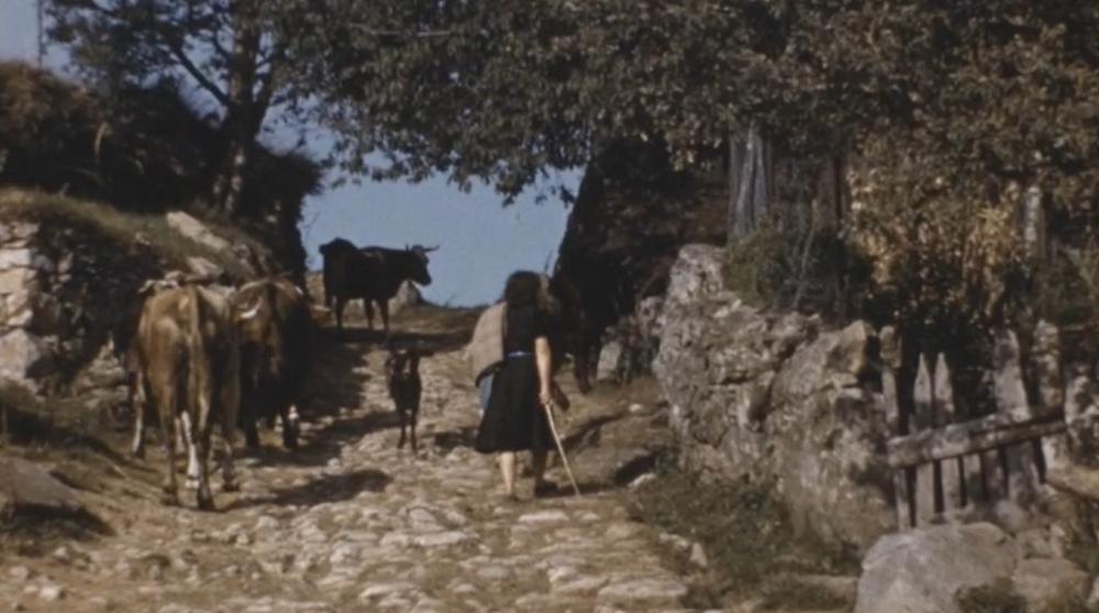 Projection de film sur l'Estive et les Hautes-chaumes