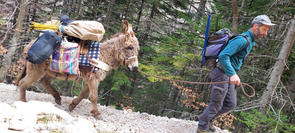 Au Pas de l'Ane en Trièves  - Séjour Sans Voiture_Saint-Martin-de-Clelles
