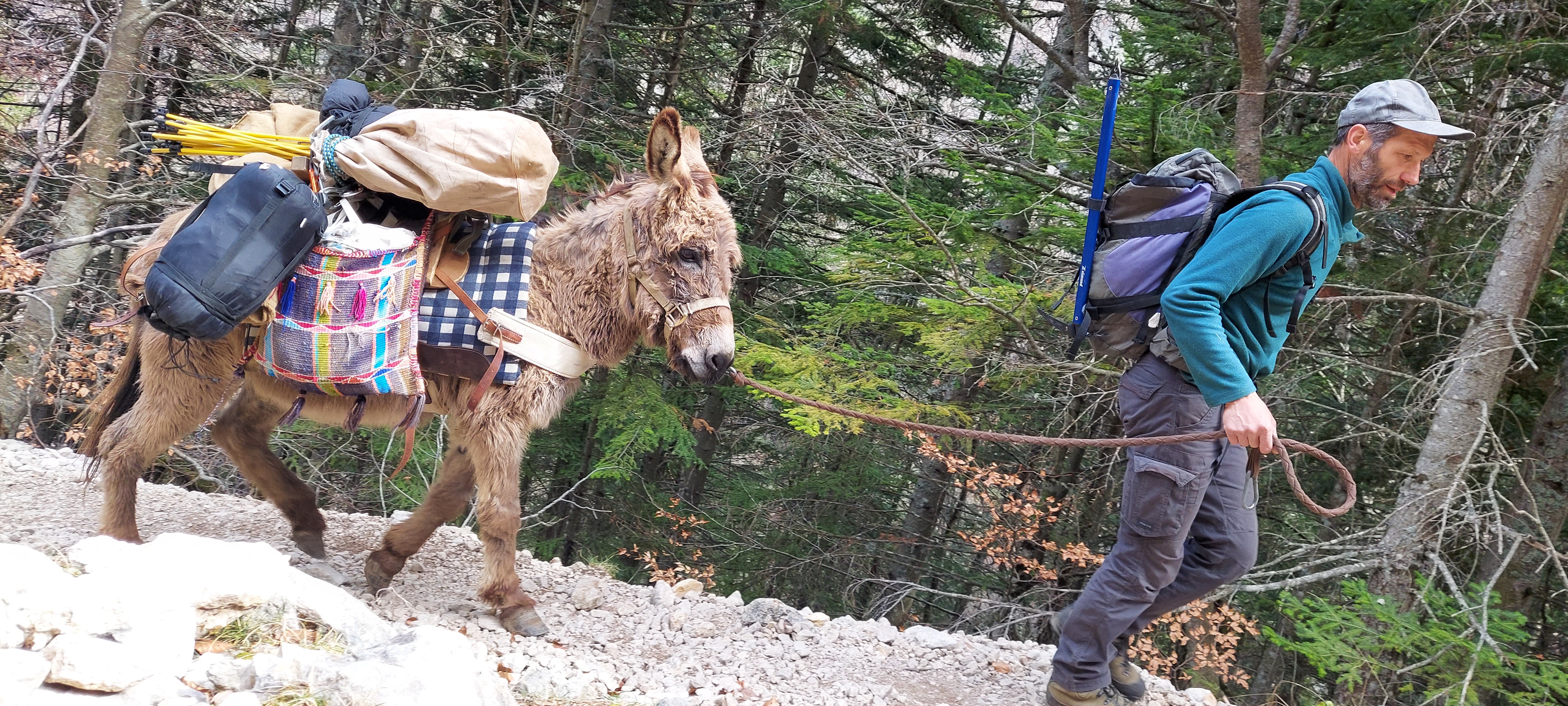 Au Pas de l'Ane en Trièves - Séjour Sans Voiture