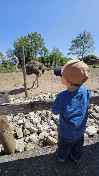 Visite de la ferme pédagogique du Père Louis_Vézeronce-Curtin