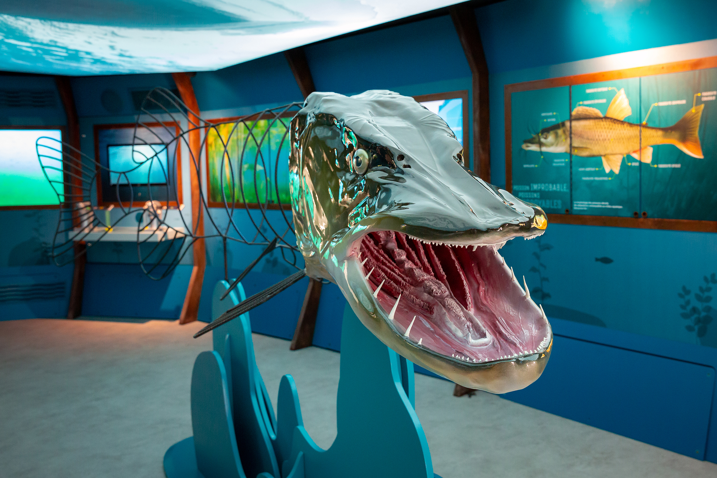 Aqualis, l'expérience lac