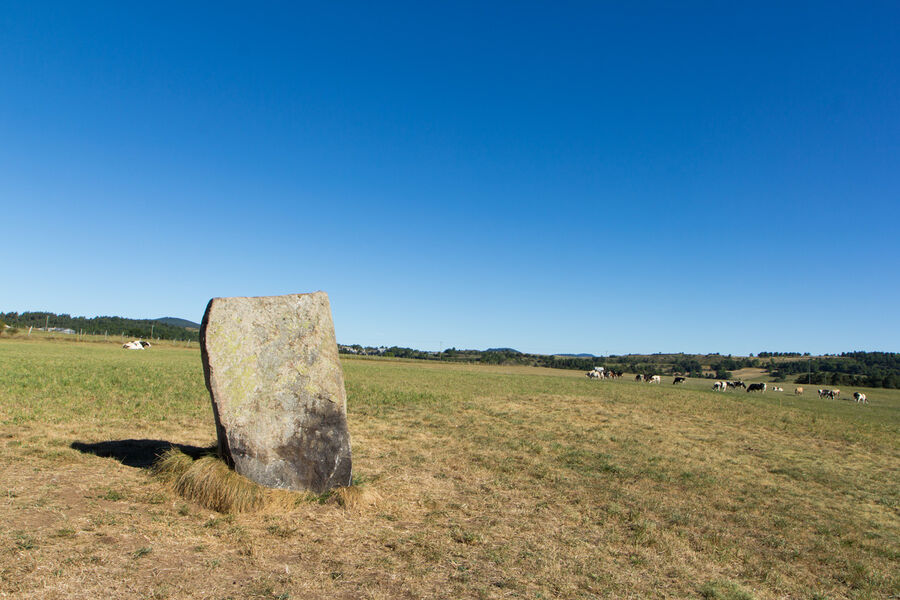 Menhir de Freydefond