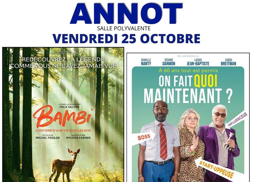 Cinema de pays Le 25 oct 2024