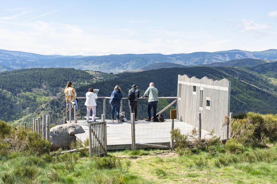 Itinéraire A la découverte des rapaces de Montselgues_Montselgues