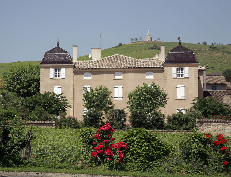 Château de Fleurie