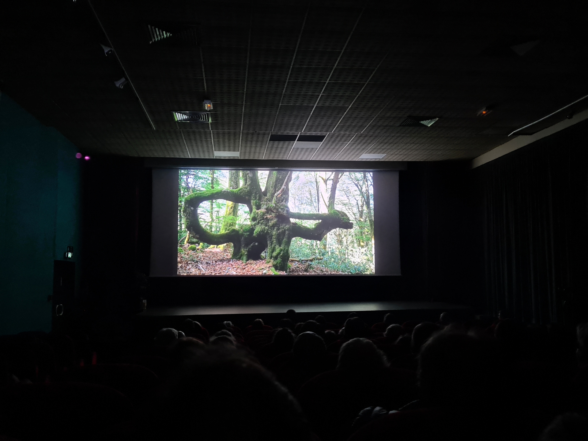 Ciné Partage "En quête de nature"