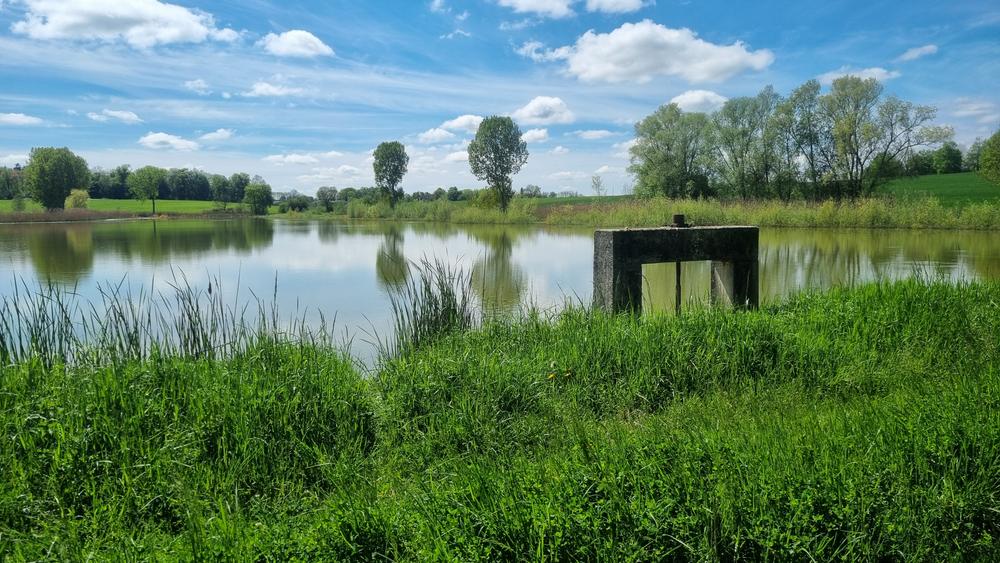 Circuit VTT-VTC n°25 (rouge) Comté de Montrevel - Domaine du Sougey_Montrevel-en-Bresse