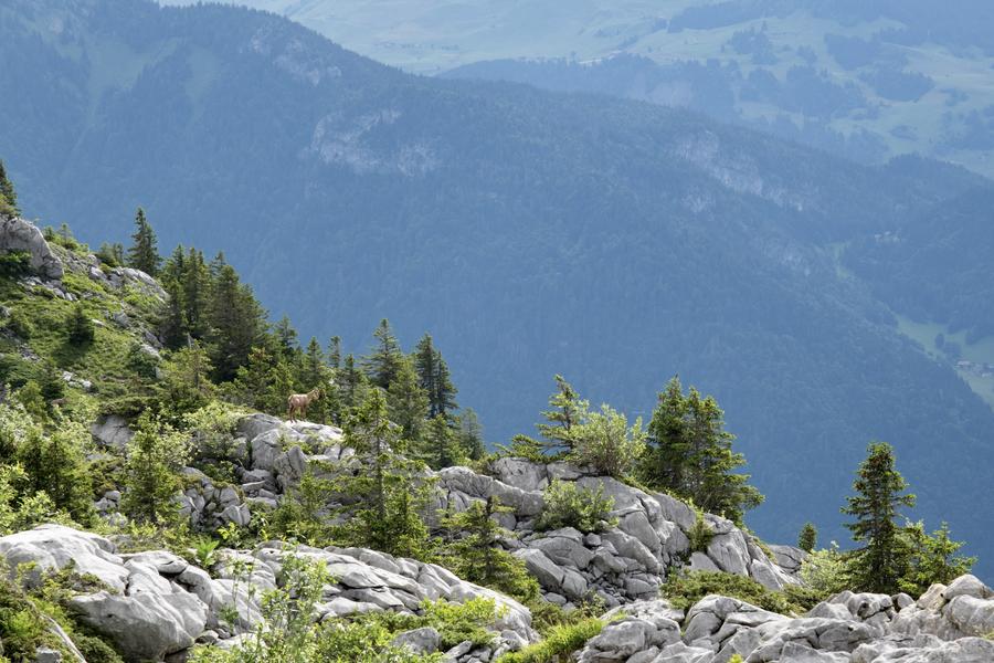 Massif de Tournette-Aravis GRP® - Partie Nord en 4 jours à pied