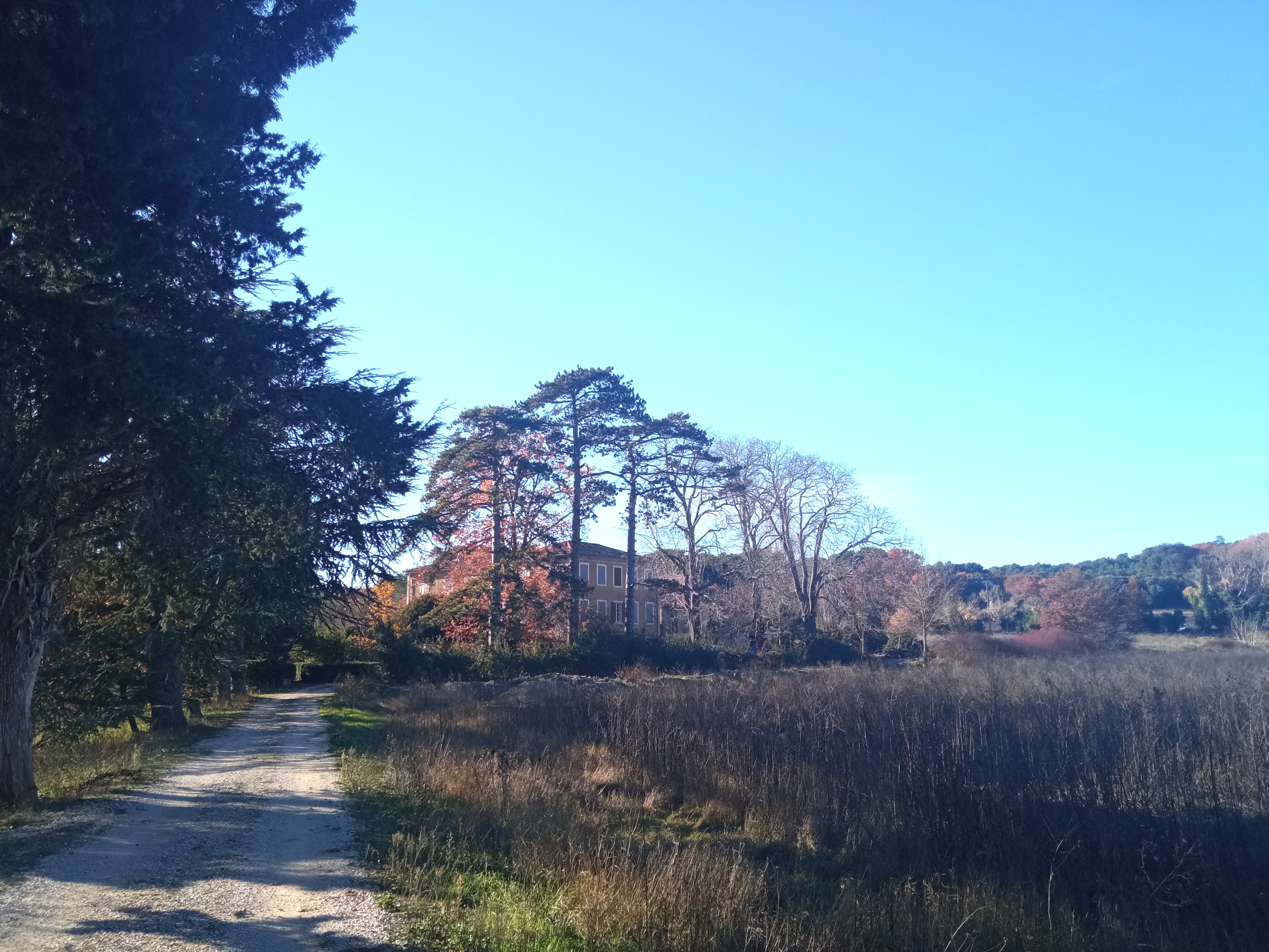 Domaine de Ribbe - Bastide, Rognes - photo 22