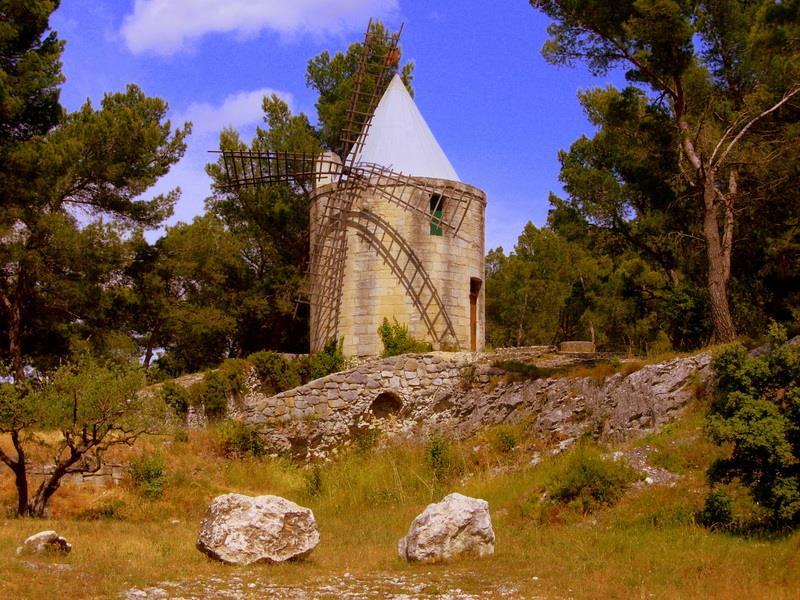 L'Olivade, Eyragues - photo 17