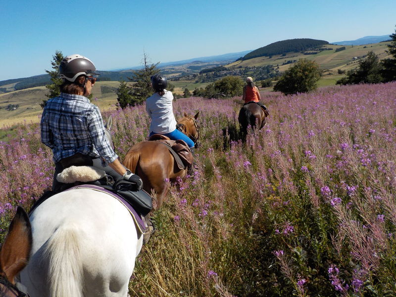 Centre équestre Le Domino