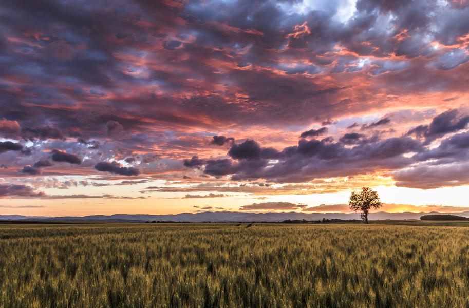 L'Escampette : boucle par les bords de Saône_Trévoux