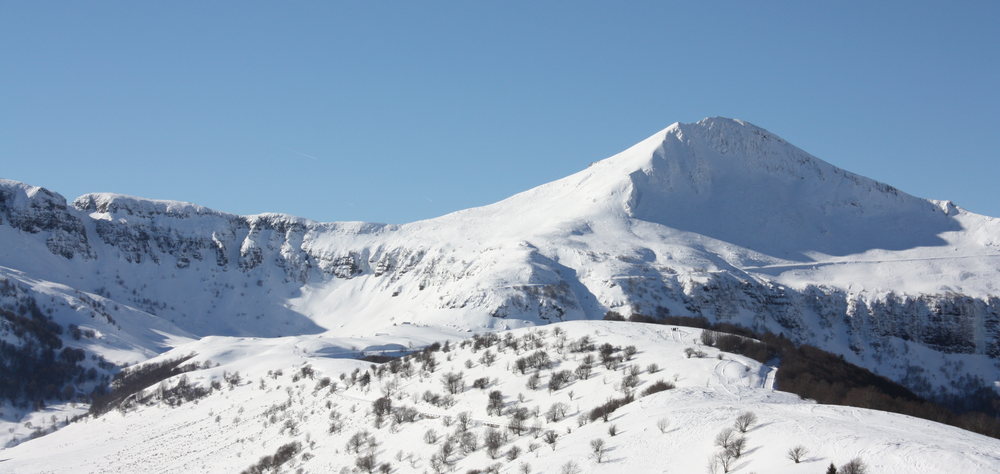 Randonnée - Le vivant au coeur de l'hiver