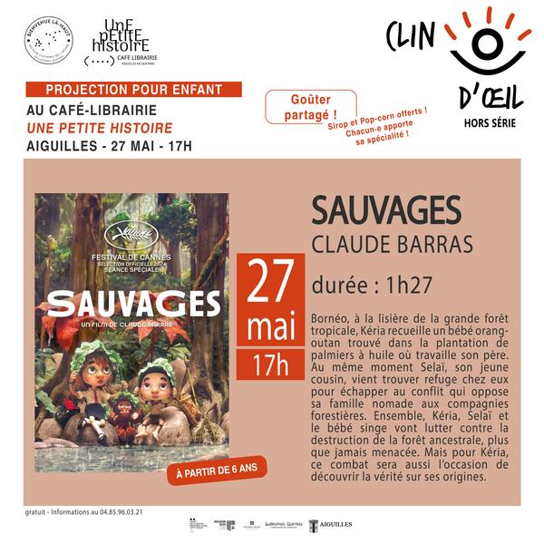 Projection - SAUVAGES