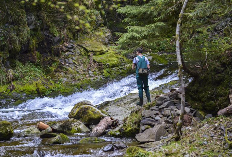 Orpaillage sur l'Alagnon avec Gilles Guilloteau