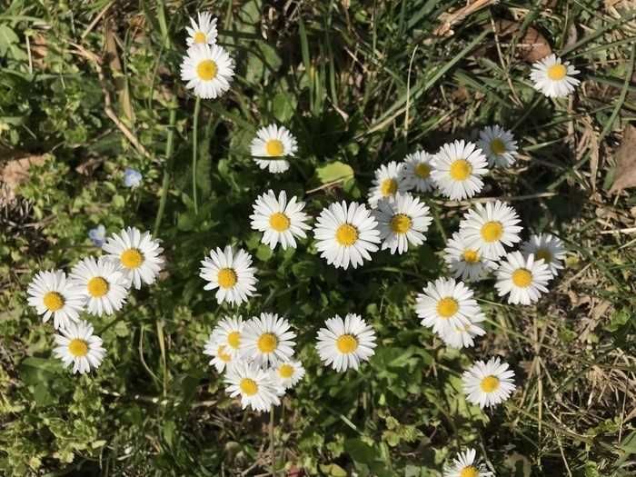 Musée Louis Vouland