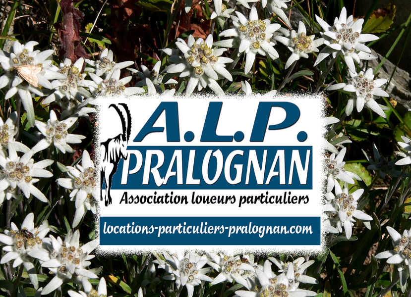 Association des Loueurs Particuliers de Pralognan