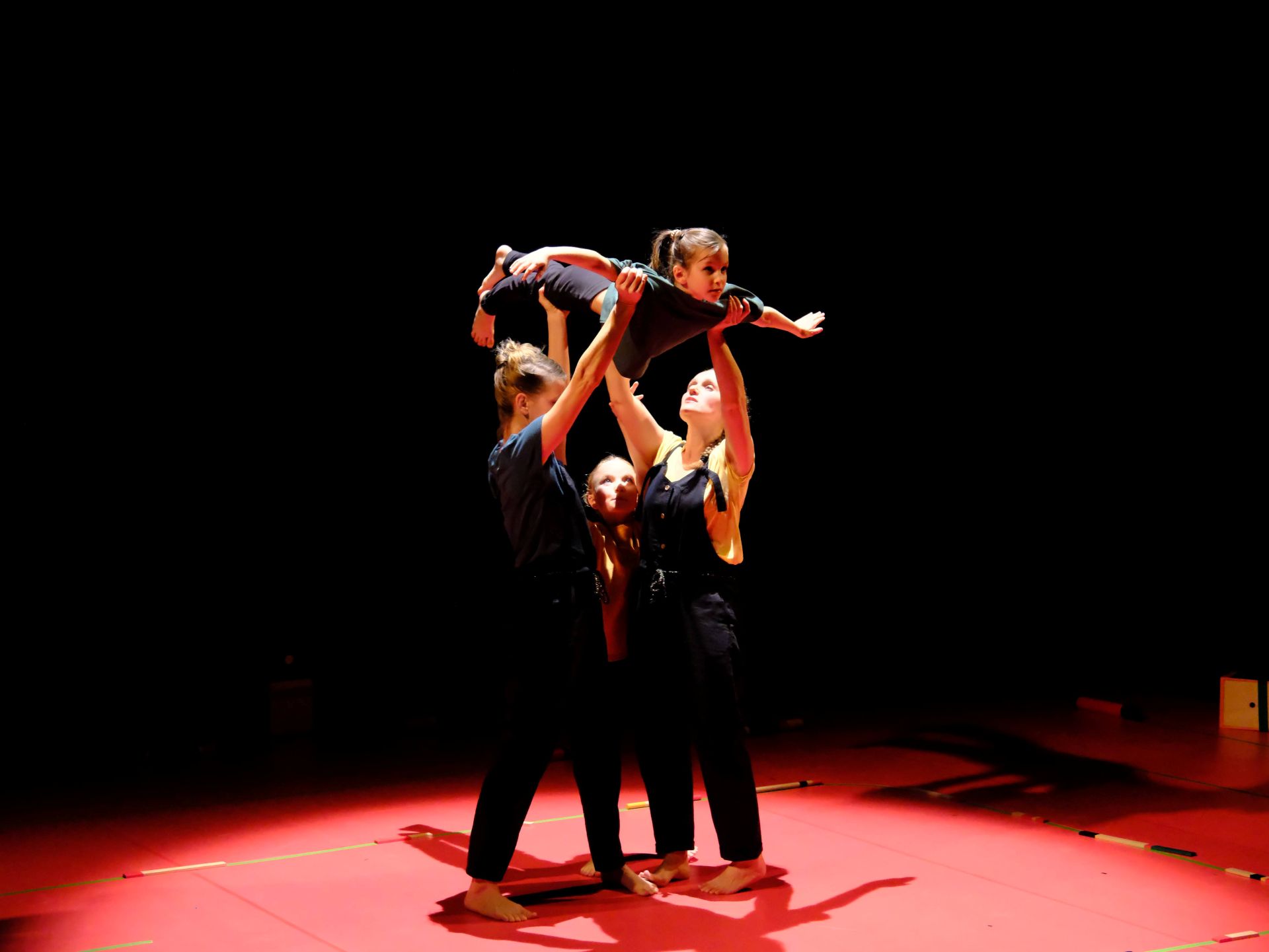 Le labyrinthe de l'oie