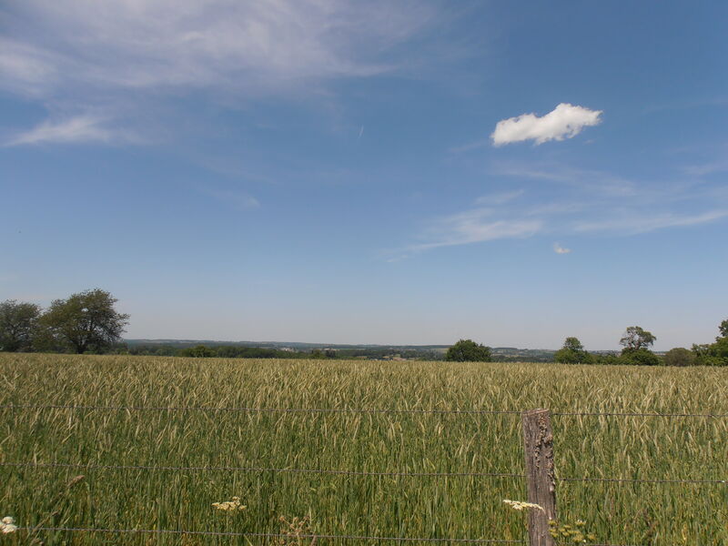 La voie dite romaine et le bois de Régheat